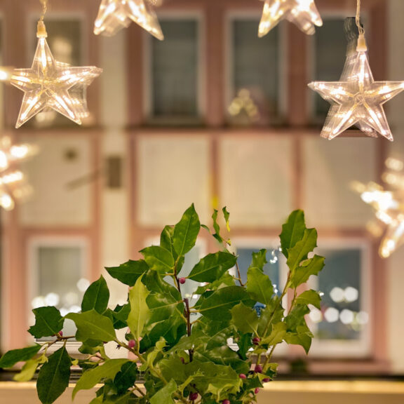 Insel Weihnachten – Yoga & Mantra Soundbath – mit Adri & Nina – 20.12.2025